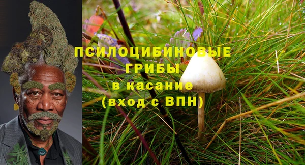 СК Абдулино