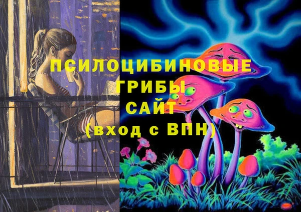 СК Абдулино