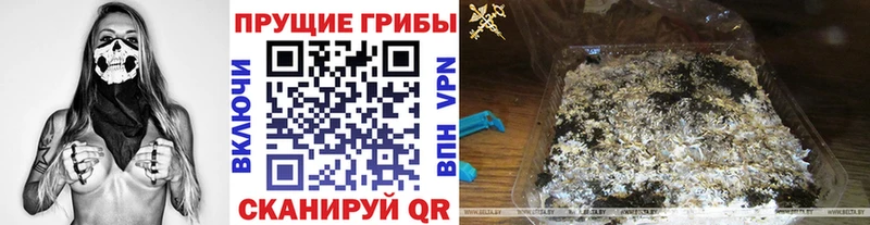 Галлюциногенные грибы прущие грибы  Курчатов 