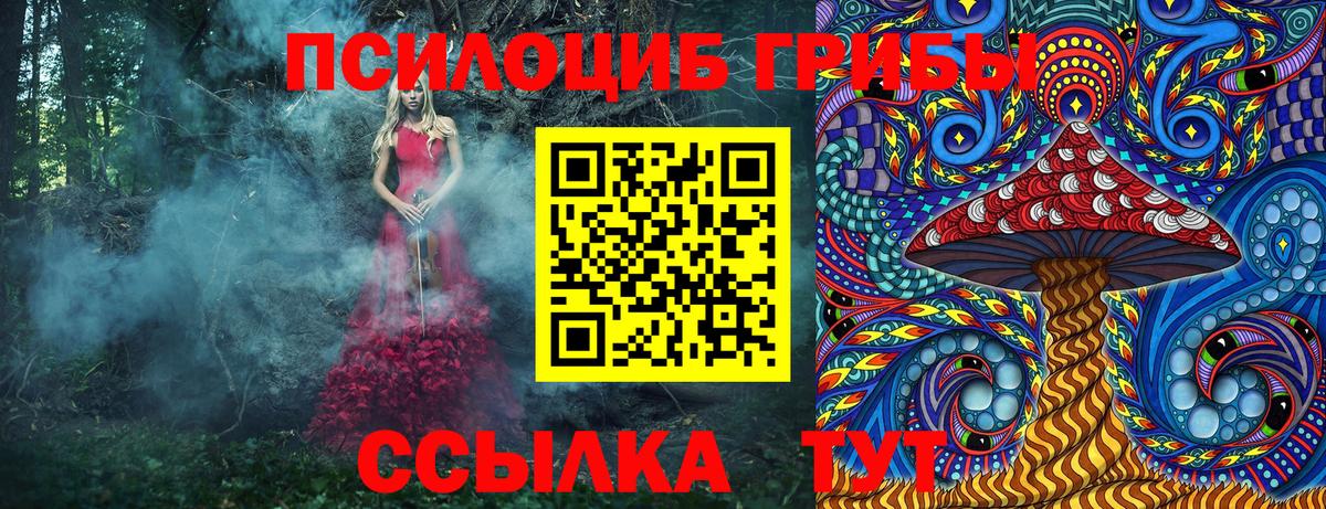 Псилоцибиновые грибы мицелий Курчатов